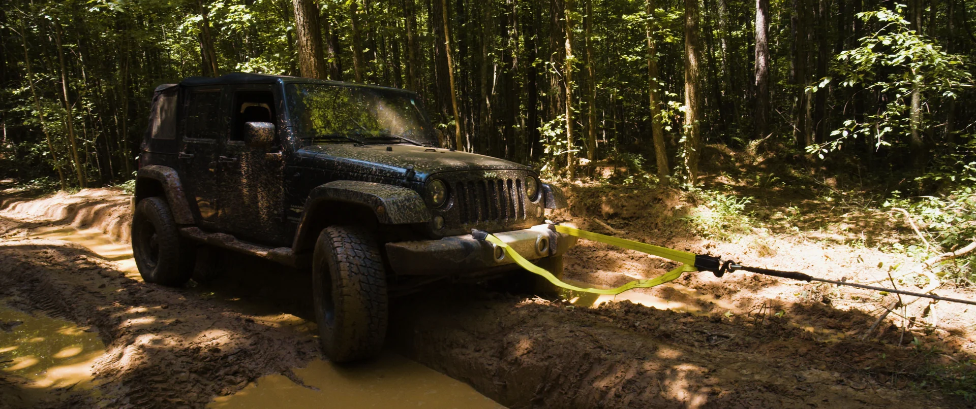 @william.riggs_ High Centered