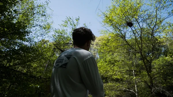 @evan_sepko in the woods