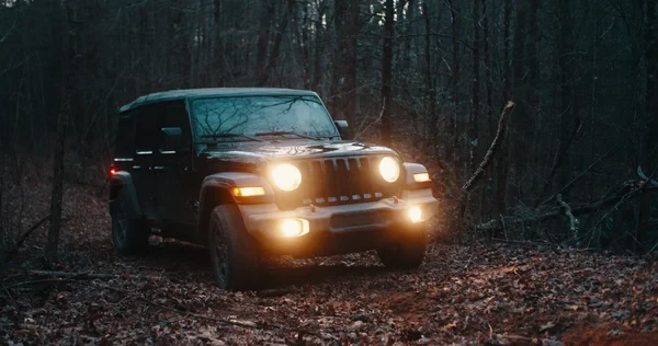 My Stock Jeep Deep in Woods